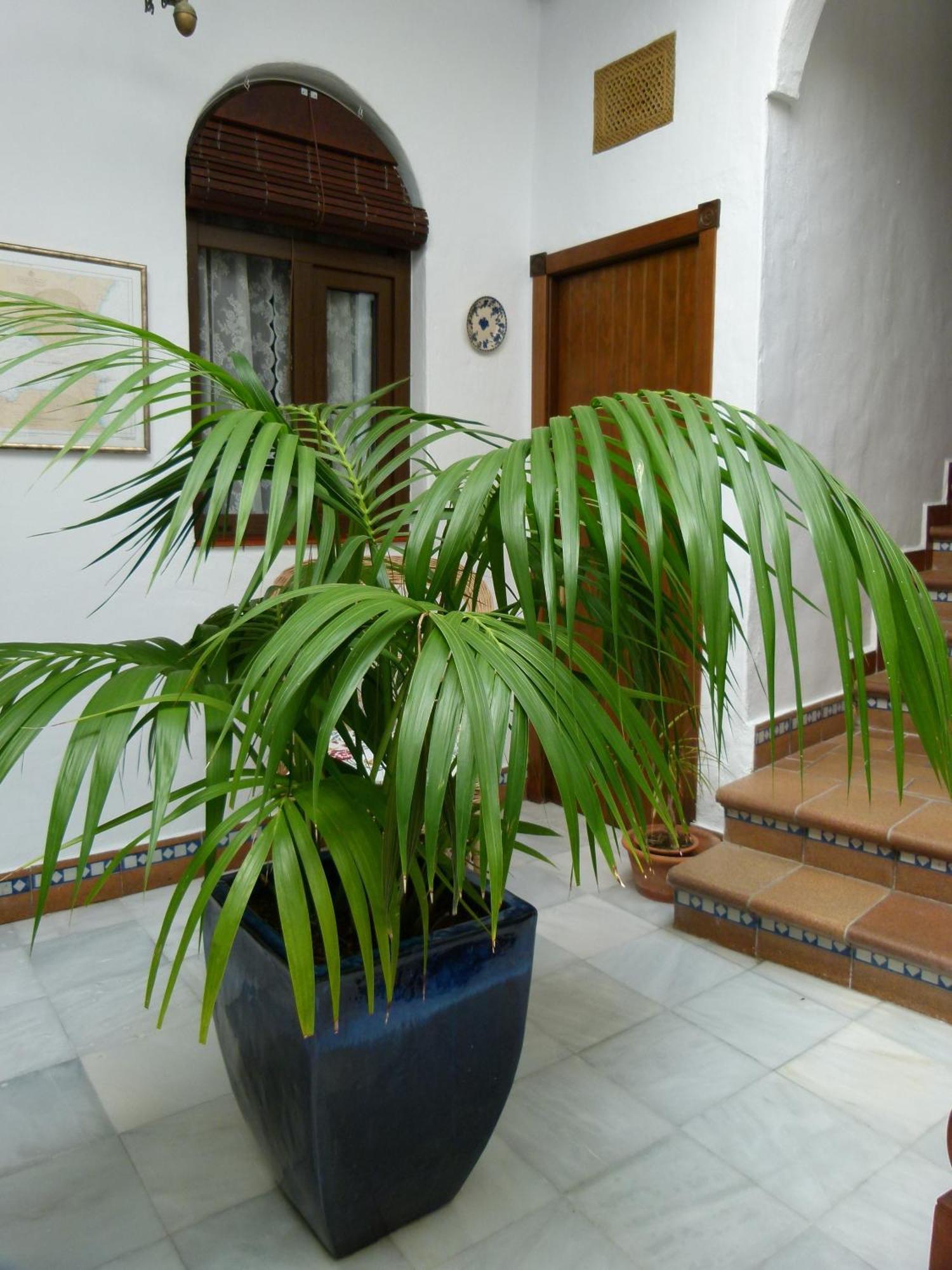 Hostal Santa Catalina Conil De La Frontera Exterior foto