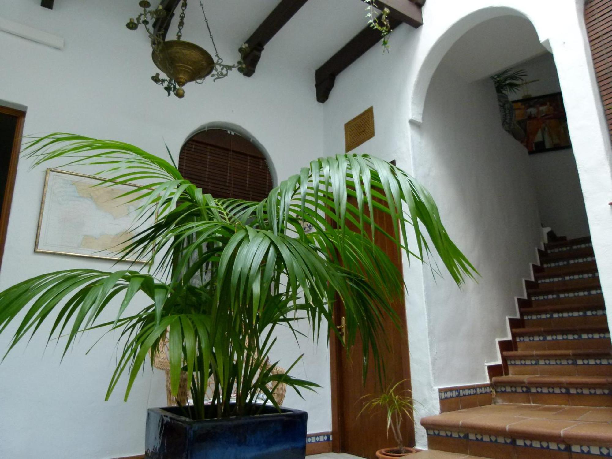 Hostal Santa Catalina Conil De La Frontera Exterior foto
